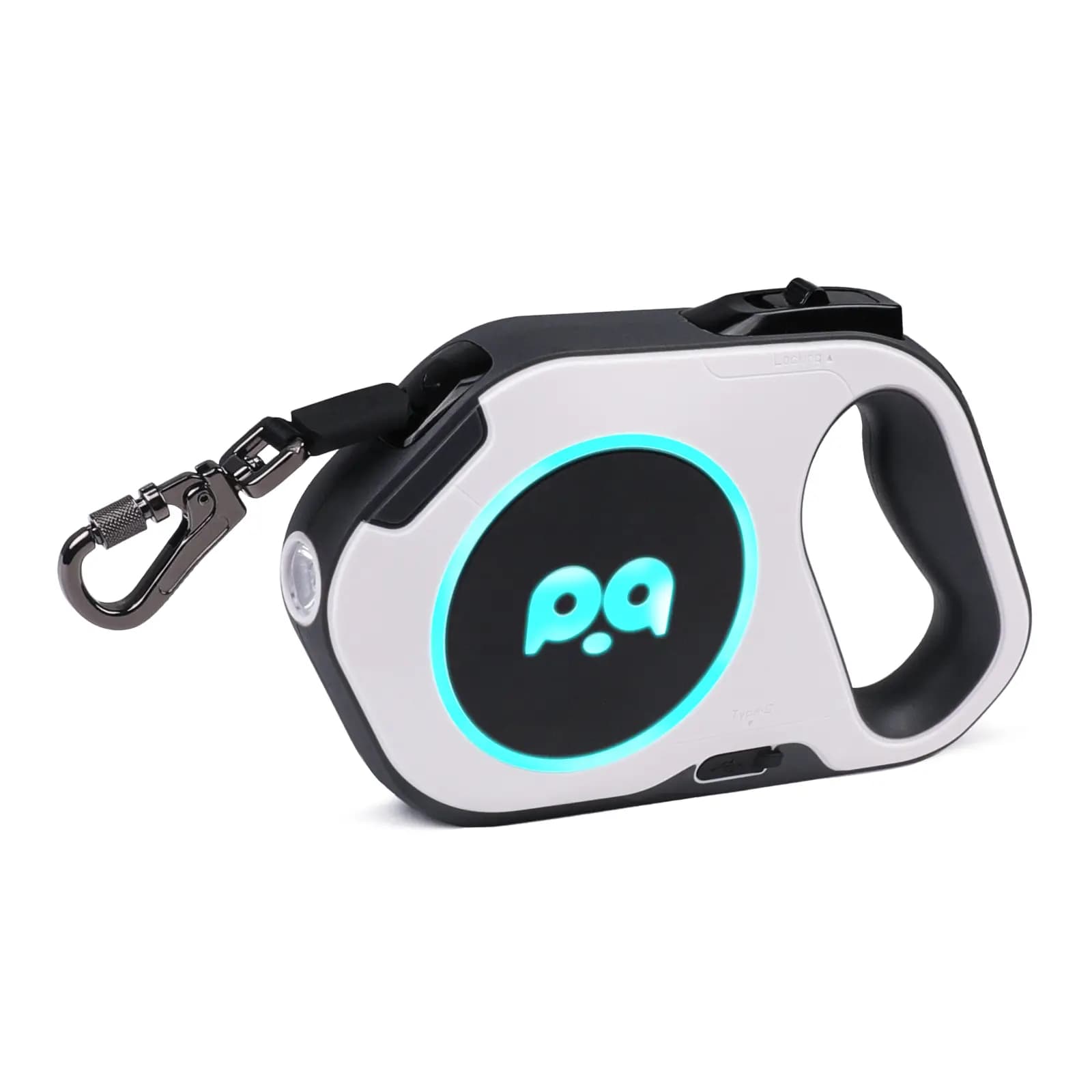 LED leash